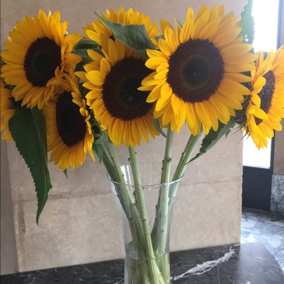 About me - Picture 4 of 7